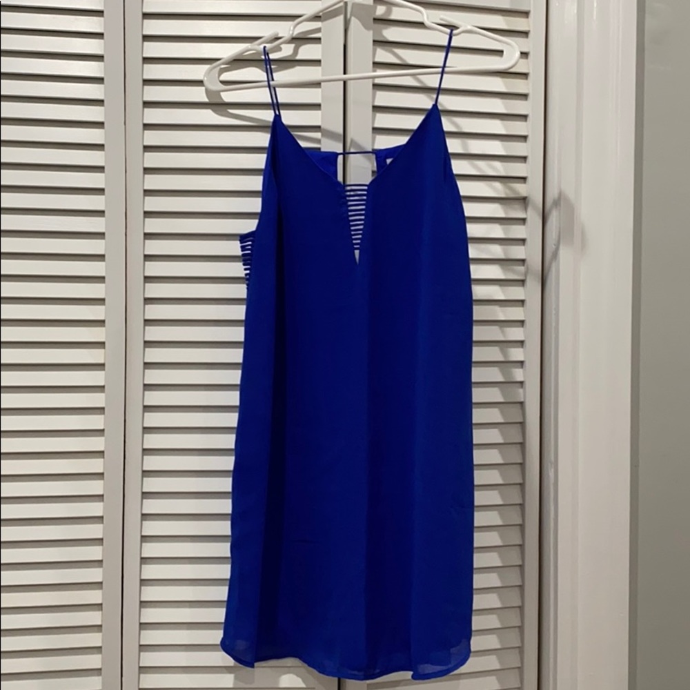 Naked Zebra Blue Dress